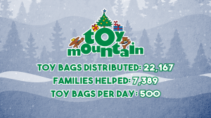 Toy Mountain 2020 Final Totals