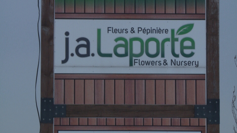 J.A. Laporte Flowers & Nursery