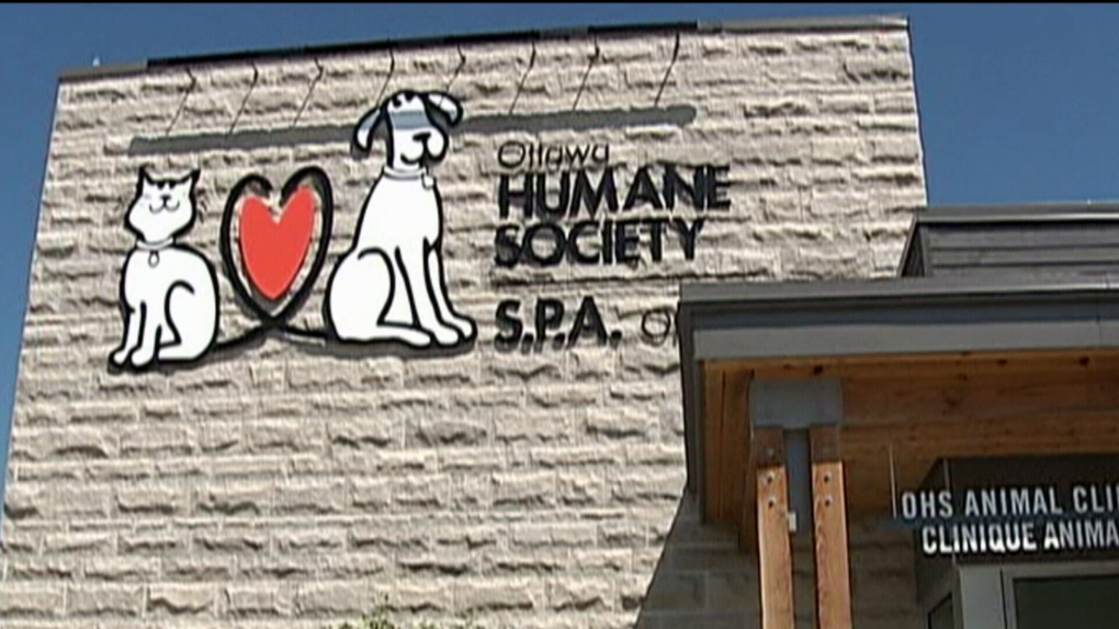 Ottawa Humane Society Appoints New President CTV News   Ottawa Humane Society 1 3005026 1627391510672 