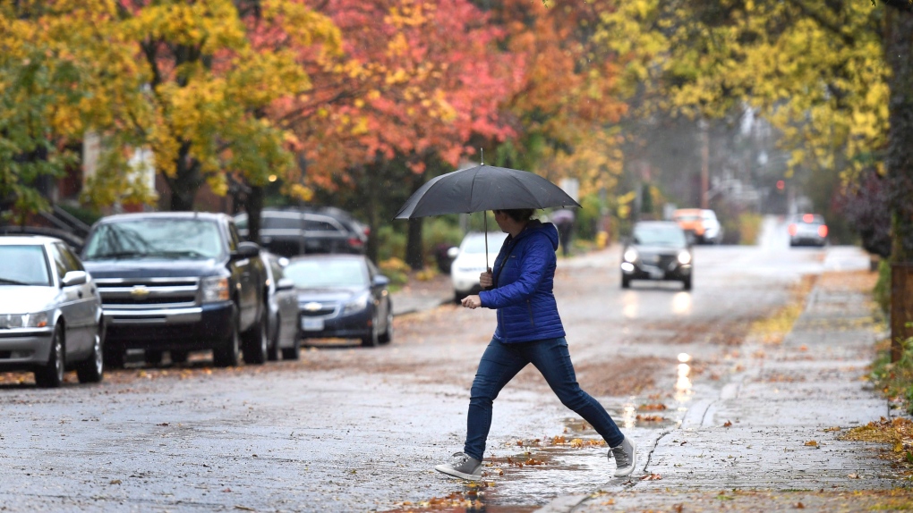 A woman crosses the street in the rain in Ottawa on Monday, Oct. 30, 2017. (Justin Tang/THE CANADIAN PRESS)