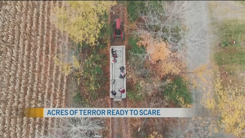 Acres Of Terror At Cannamore Orchards