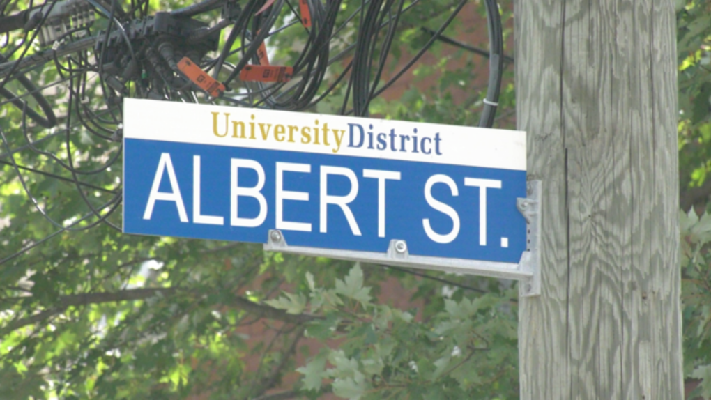 Albert Street, in Kingston, Ont.'s University District. (Kimberley Johnson / CTV News Ottawa)