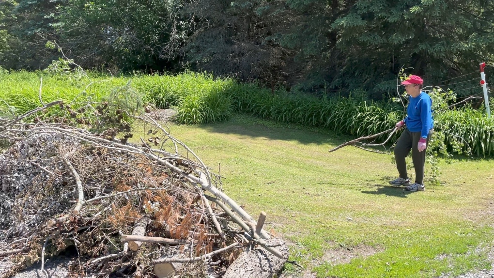 Suzanne Lafontaine clearing storm debris on her West Carleton property on Monday, June 20, 2022. (Dave Charbonneau/CTV News Ottawa)