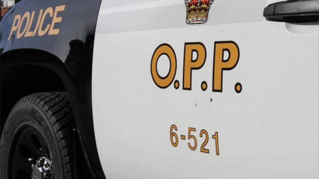 Ontario Provincial Police cruiser File Image