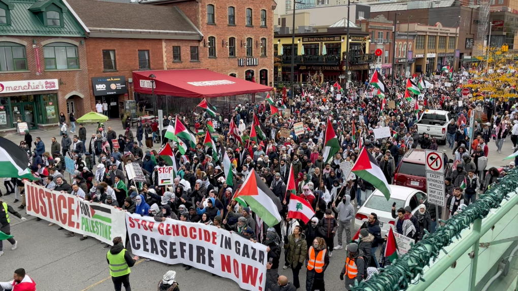 https://ottawa.ctvnews.ca/content/dam/ctvnews/en/images/2023/10/29/palestine-rally-ottawa-oct-29-1-6622318-1698617755247.png