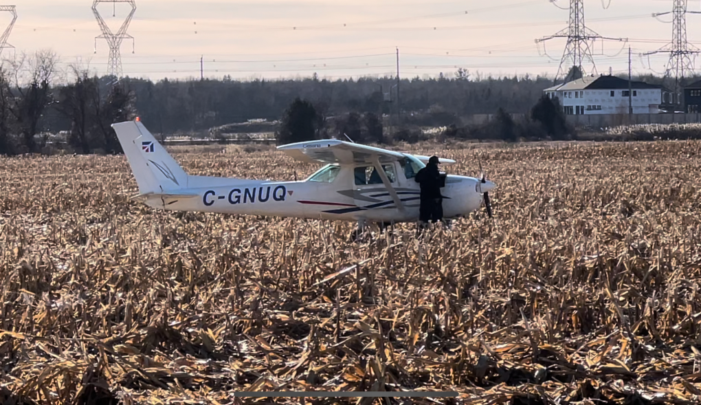 The pilot of this small plane made an emergency landing into a field near Fernbank and Shea roads in Stittsville, Nov. 20, 2023. (Dave Charbonneau/CTV News Ottawa)