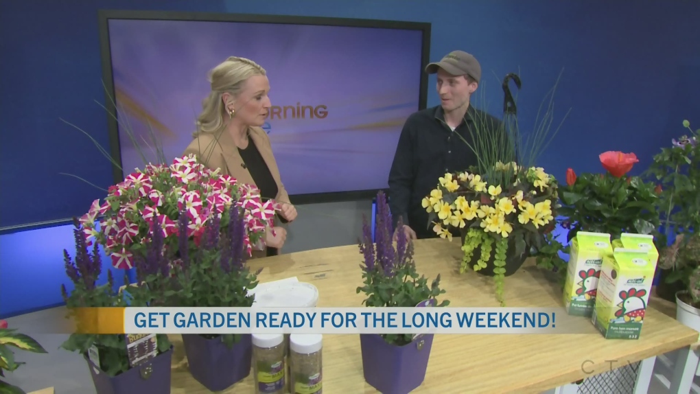 Get Garden Ready This Long Weekend 1