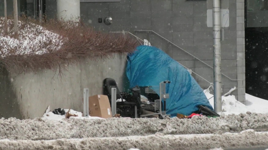 From behind the counter, TikToker films raw look at homelessness in Ottawa