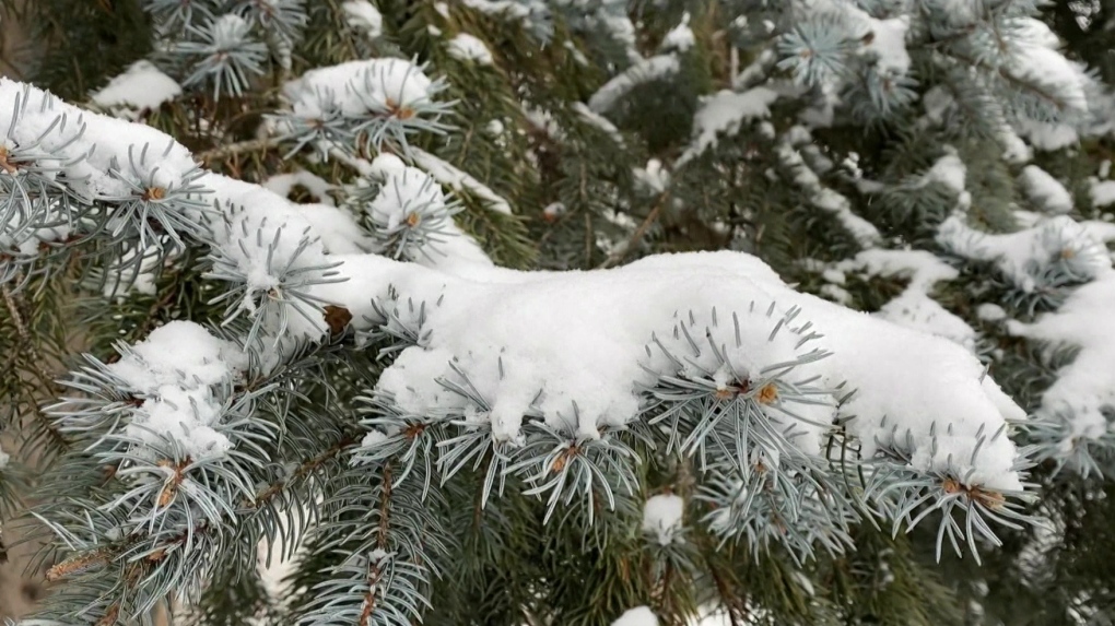 First major snowfall of 2024 in Ottawa