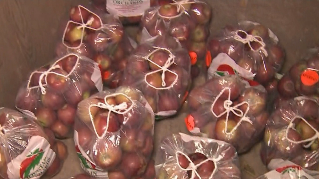 In the Community Apple season in eastern Ontario