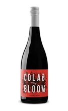 Wines of the week - colab