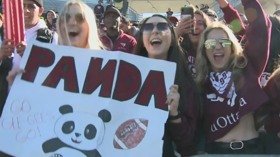 Record attendance at Panda Game