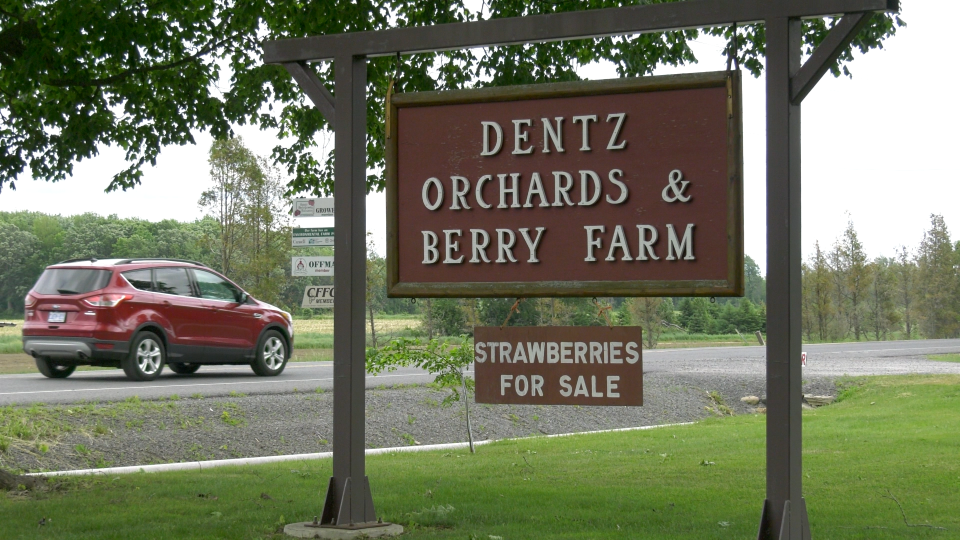 Dentz Orchards and Berry Farm