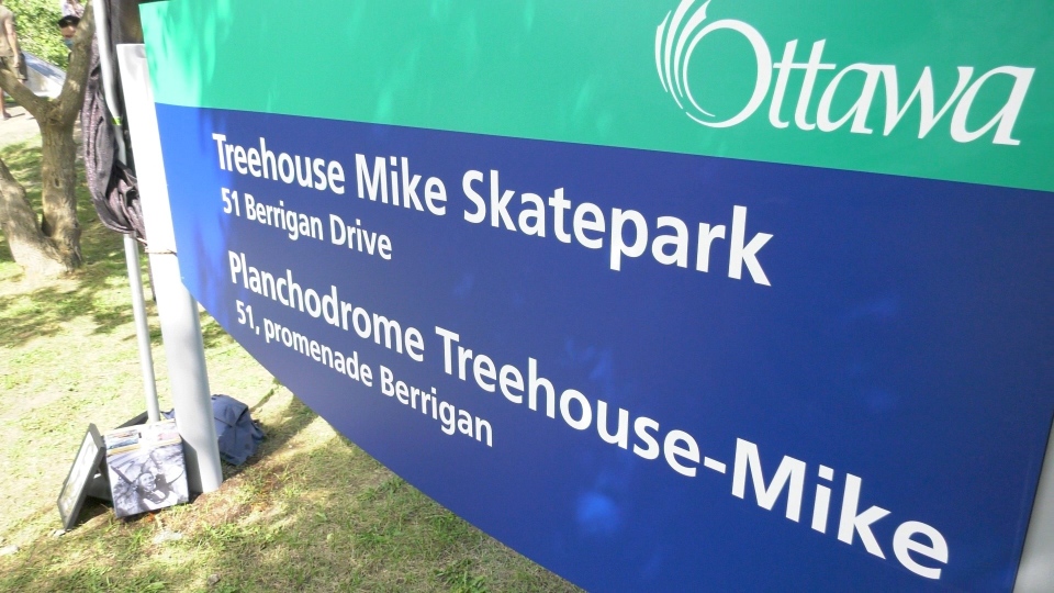 Treehouse Mike Skatepark