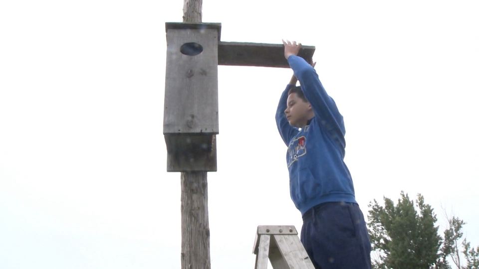 Liam McMullen Wetland Hero