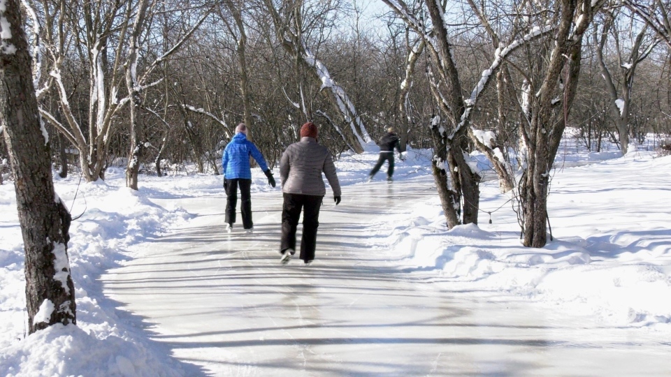 RiverOak Skating Trail