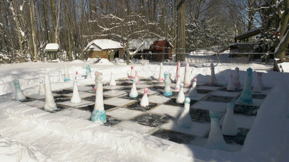 Backyard chess in Ottawa