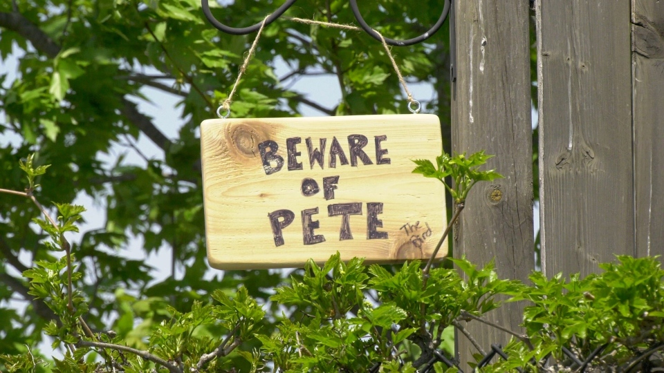 Beware of Pete