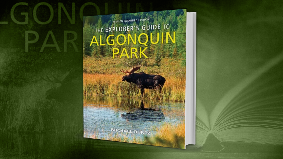 An Explorer's Guide to Algonquin Park