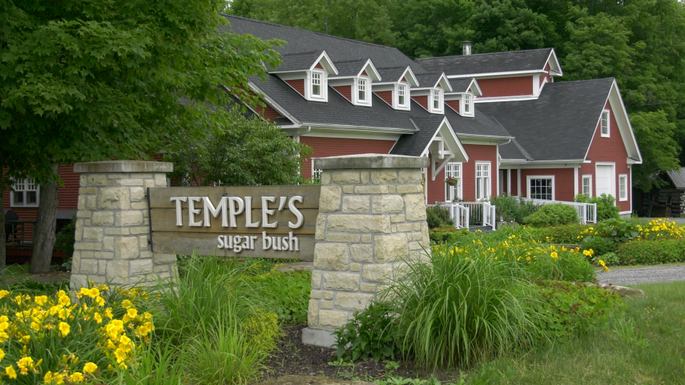 Temple's Sugar Bush