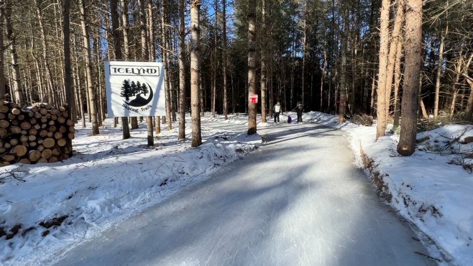 Icelynd Skating Trails